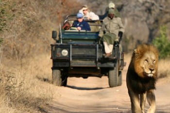 Jewels of South Africa Safari and Tour